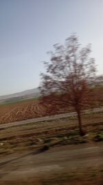 IMG_20250329_174059.jpg