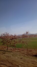 IMG_20250329_172711.jpg